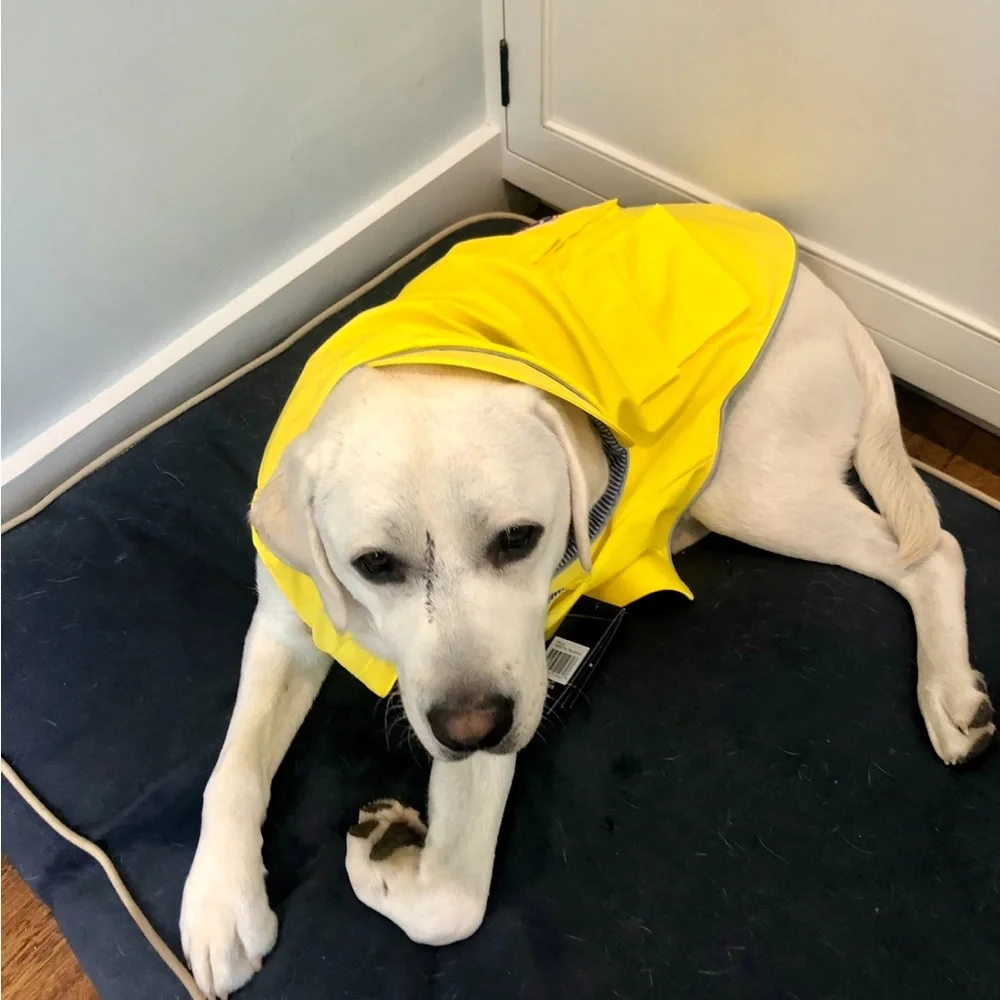 * NWT * Canada Pooch Torrential Tracker Dog Rain Jacket - Easy On